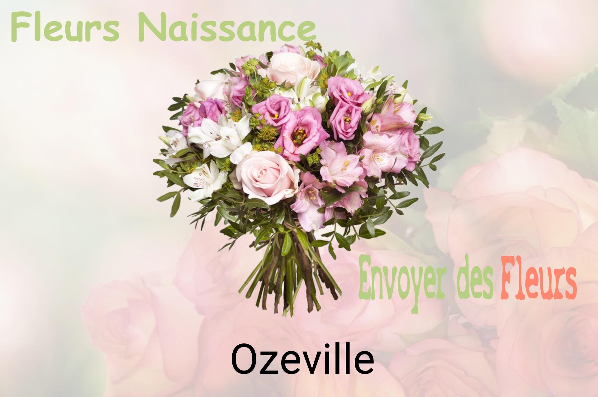 Bouquet de fleurs de naissance livré à Ozeville